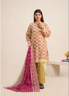 Edenrobe – 3 Piece Unstitched Collection